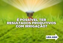 resultadosnairrigacao