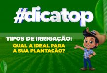 Tipos de irrigação: qual a ideal para a sua plantação?