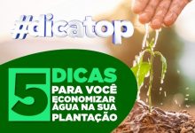 5 dicas para você economizar água na agricultura