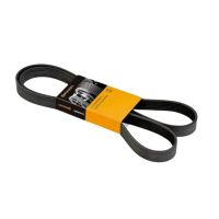 Correia Automotiva 6PK1780 Sama