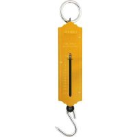 Balança Tipo Peixeiro 25kg  Vonder 
