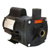 Motobomba 1/3 CV B12P 220V Magnum Thebe