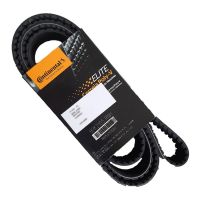 Correia Automotiva 8PK1290 Sama   