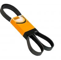 Correia Automotiva 5PK1815 Sama