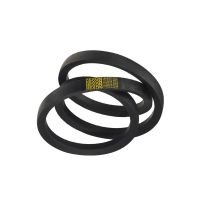 Correia Industrial AP064 Rexon                           