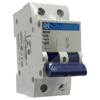 Disjuntor Bifásico Termomagnético 3KA 2P MDW-C 40A Weg