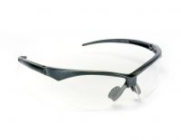 Óculos de Segurança Evolution Carbografite Incolor