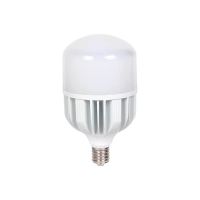 Lâmpada Led Bulbo HP 100W 6500K E-40 Bivolt Avant 