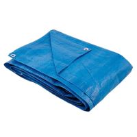 Lona Leve Policarga 08x04m 180gr/m2 Ajax