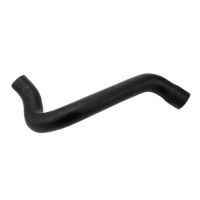 Mangueira Superior do Radiador Escorte/ Verona GL/ Logus/ Pointer Jamaica