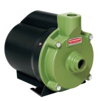 Motobomba BCR-2000 1/3CV 220V Schneider