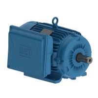 Motor Monofásico 10CV 4 Polos Fechado 220V IP55 Rural WEG  