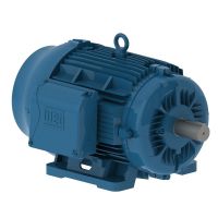 Motor Elétrico Trifásico 25CV 4 Polos W22 IR3 Premium 220-380V Weg