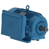 Motor Monofásico 10CV 2 Polos Fechado 220V IP55 Rural WEG  