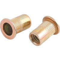 Rebite De Aço Com Rosca Interna M6 Vonder