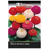 Semente de Flor de Zinnia 290Mg Feltrin