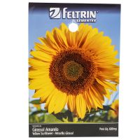 Semente de Girassol Amarelo 600Mg Feltrin