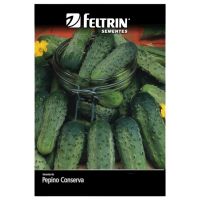 Semente Pepino Conserva Wisconsin Feltrin 