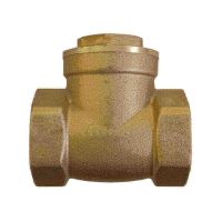 Válvula De Retenção Horizontal Com Portinhola 1.1/2" Dulong