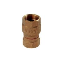 Válvula de Retenção Vertical 1.1/2" Docol