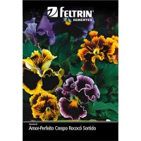 Semente Flor Amor Perfeito Sortido 100 MG Feltrin