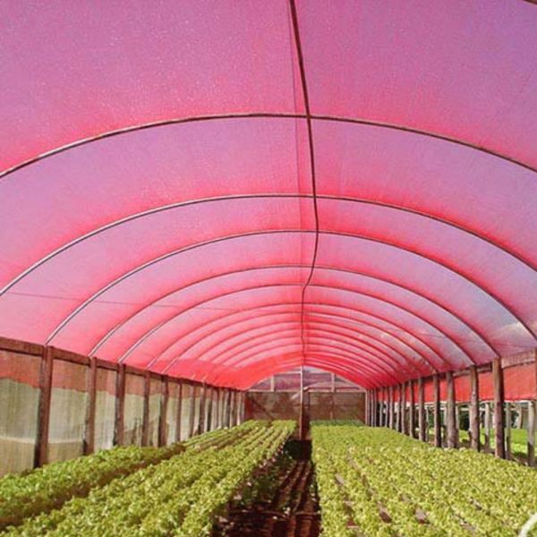 1 Metro de Tela Chromatinet Vermelha 35% 6X1 Metros Ginegar