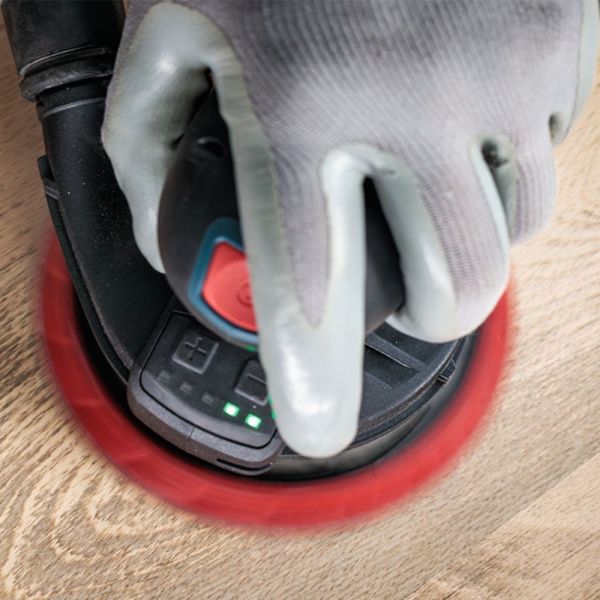 5 Unidades de Disco de Lixa 125mm P320 Expert Bosch