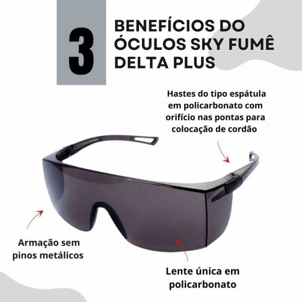 Óculos Sky Fumê Delta Plus Pro Safety