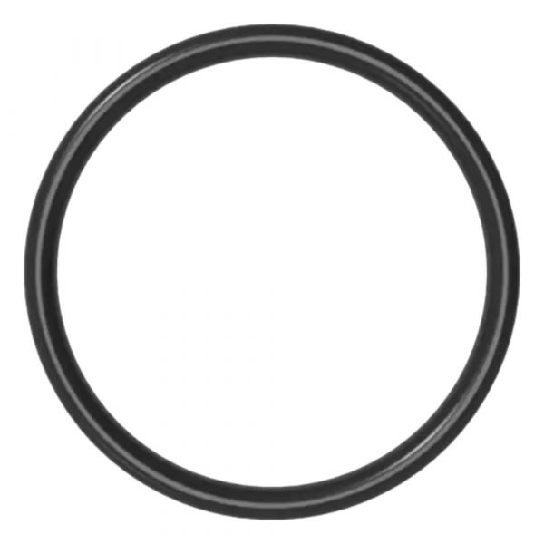 Anel Esgoto Toroidal JE DN75/DI85 Asperbras