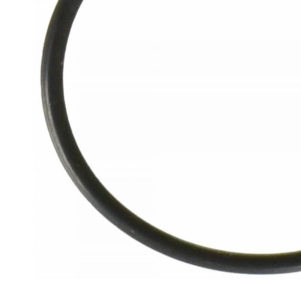 Anel O-Ring Bosch 1600210033
