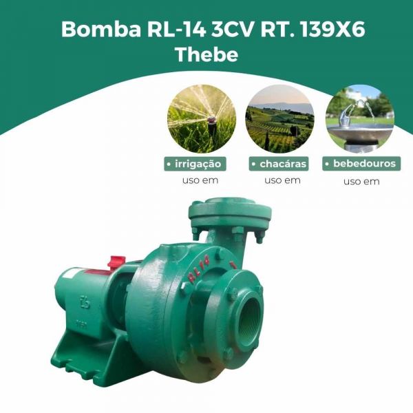 Bomba RL-14 3CV RT. 139X6 Gaxeta Thebe