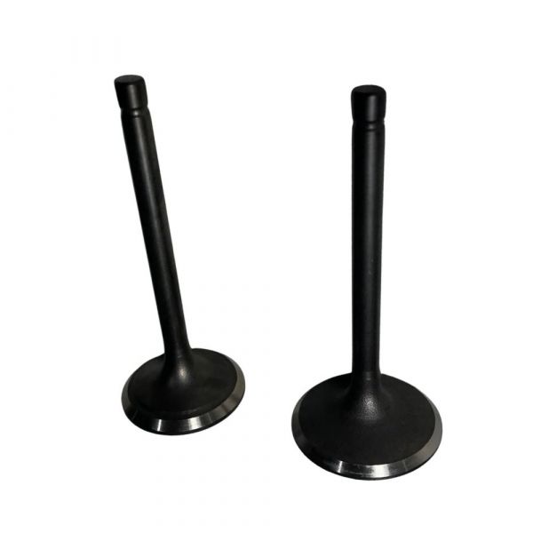 Conjunto de Válvula 117201007 TE180-XP-TG10000CXE Toyama