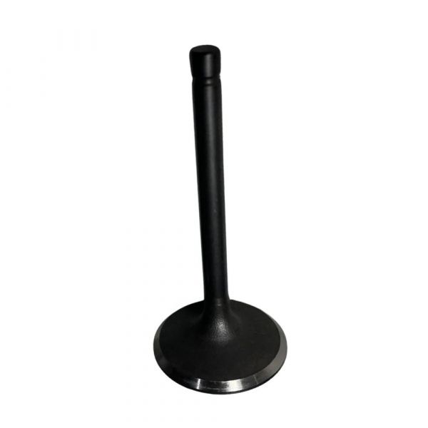 Conjunto de Válvula 117201007 TE180-XP-TG10000CXE Toyama