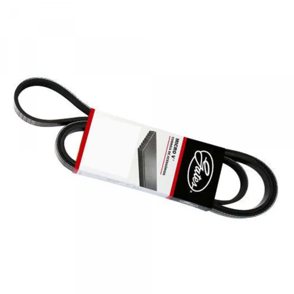 Correia Automotiva 8PK1550 Gates Sama