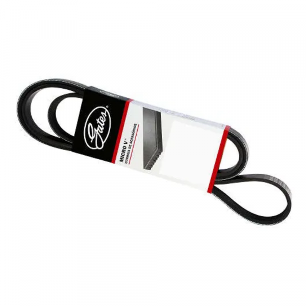 Correia Automotiva 8PK1550 Gates Sama