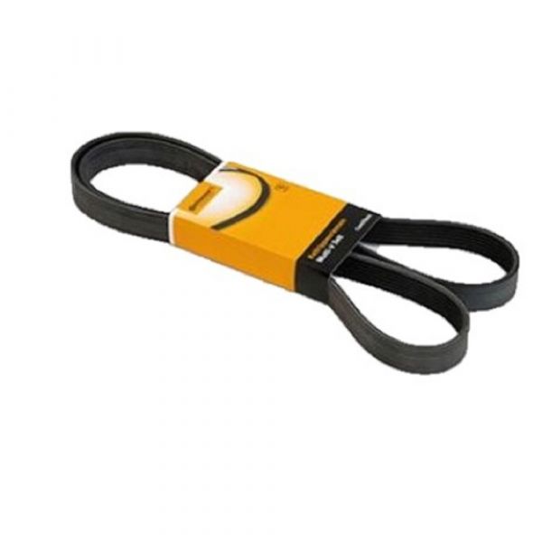 Correia Automotiva 4PK0675 Sama