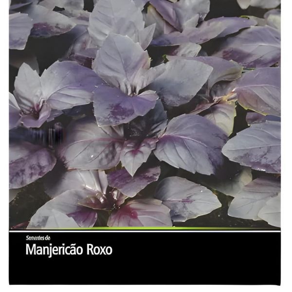 Semente de Ervas de Manjericão Roxo 100Mg Feltrin