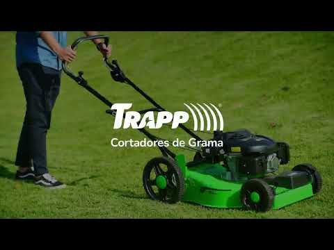 Cortador De Grama A Gasolina Com Recolhedor LF-650RM 6,5HP Trapp