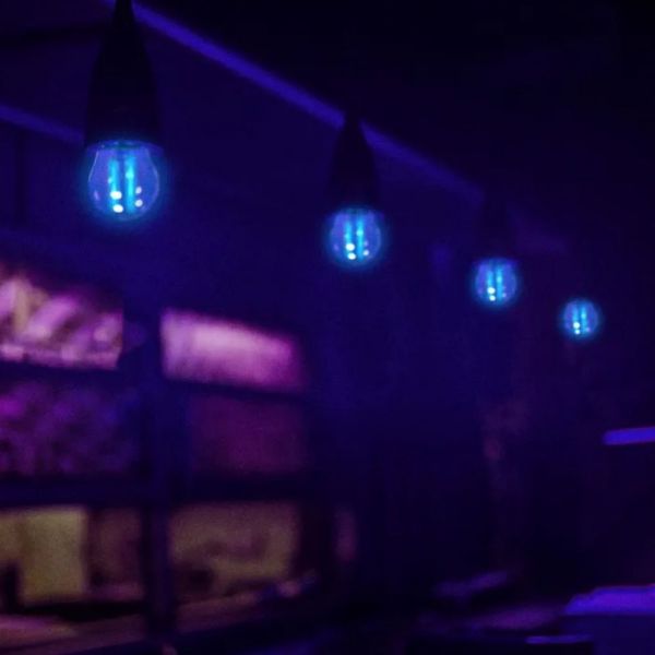 Lâmpada LED Bolinha Filamento 2W Azul E-27 Bivolt Avant