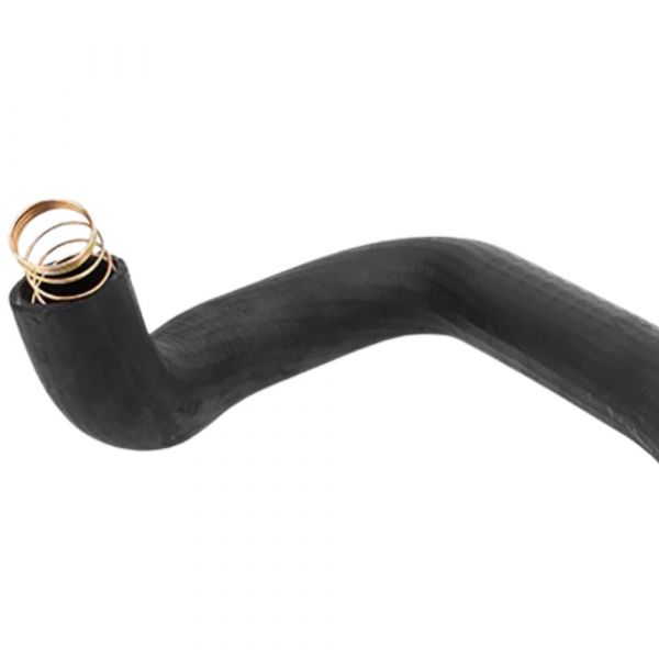 Mangueira Inferior do Radiador com Mola F1000 Jamaica