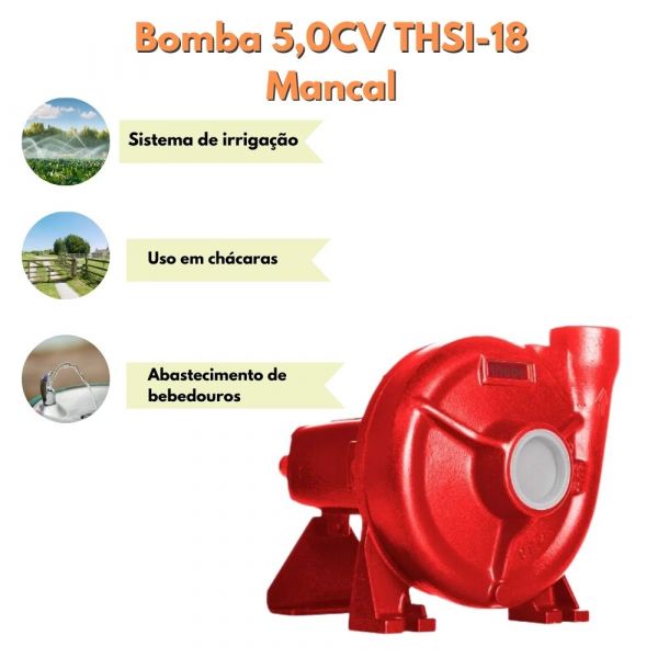 Bomba 5,0CV THSI-18 Mancal Rotor 141mm Gaxeta Thebe
