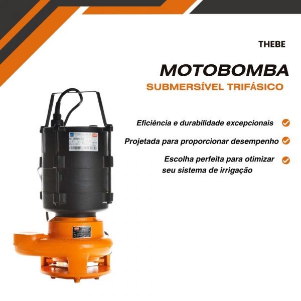 Bomba 1CV Submersível Tsb-120 380V Trifásica Thebe