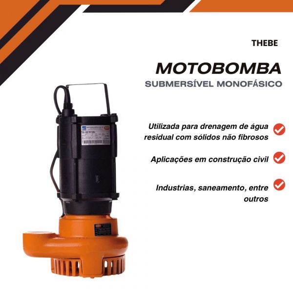 Motobomba Submersível Monofásico 1,0CV TSB-005 220V Thebe