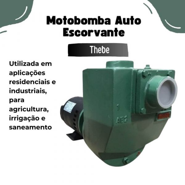 Motobomba Auto Escorvante 3cv AE-2 380V Trifásico IP21/AR Gaxeta Thebe