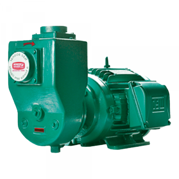 Motobomba Autoaspirante Rotor de AB 146X9 4CV Trifásico 4V AE-3 Thebe