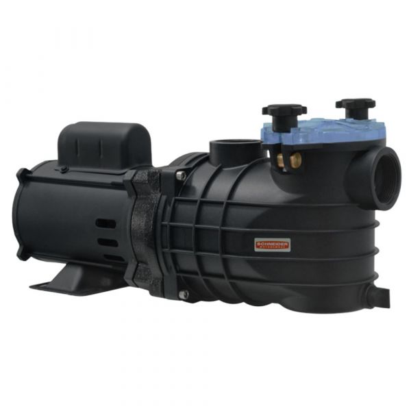 Motobomba para Piscina EKO 1/2CV 110-127/220-254V Schneider