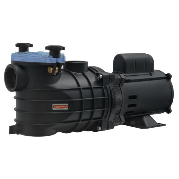 Motobomba para Piscina EKO 1/2CV 110-127/220-254V Schneider