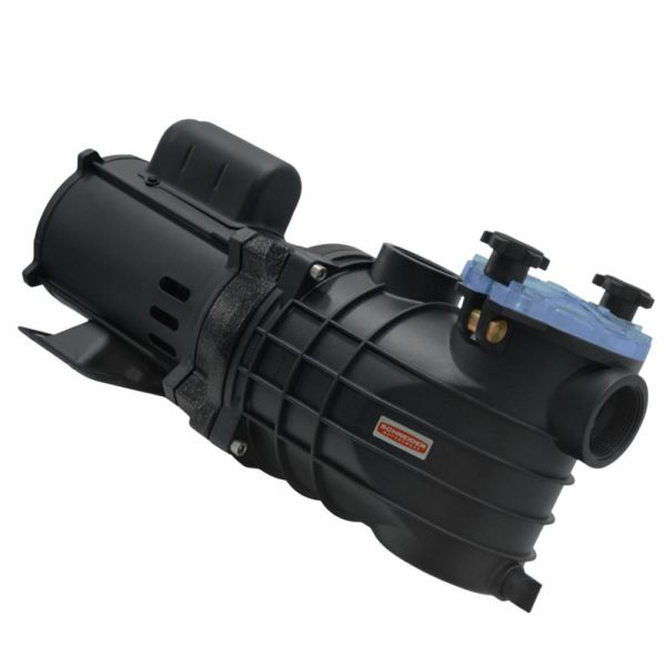 Motobomba para Piscina EKO 1/2CV 110-127/220-254V Schneider