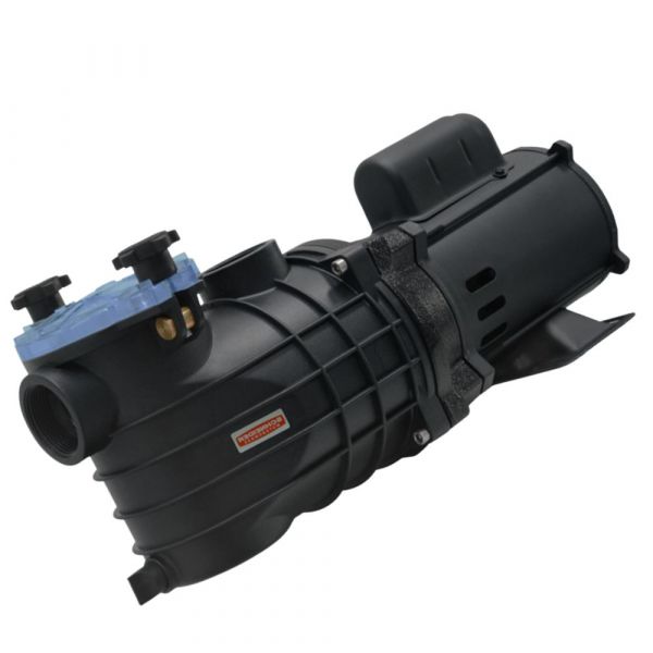 Motobomba para Piscina EKO 1/2CV 110-127/220-254V Schneider