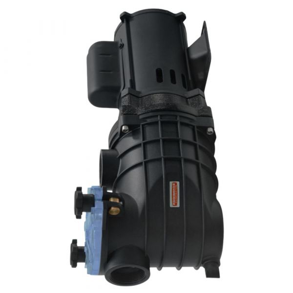 Motobomba para Piscina EKO 1/2CV 110-127/220-254V Schneider